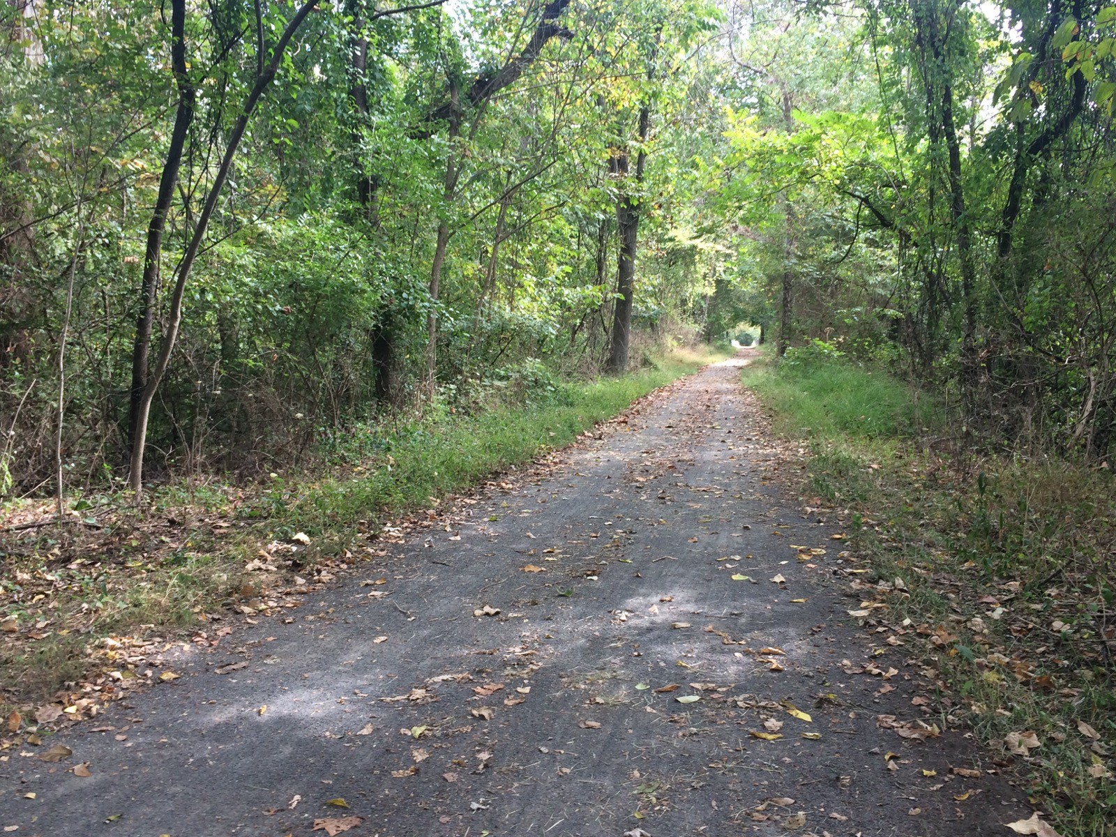 IMG_0314 Walking trail in Pottstown area park